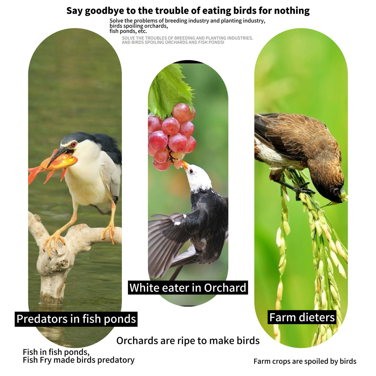 Fine Mesh Bird Netting – PVC Balcony & Garden Protection Net