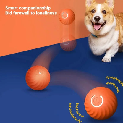 Automatic Dog Ball Toy – Moving & Bouncing Interactive Ball