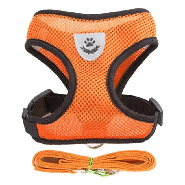 Adjustable Pet Harness with Leash