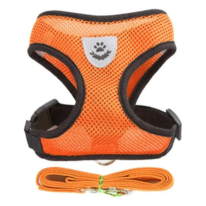 Adjustable Pet Harness with Leash
