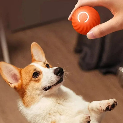 Automatic Dog Ball Toy – Moving & Bouncing Interactive Ball