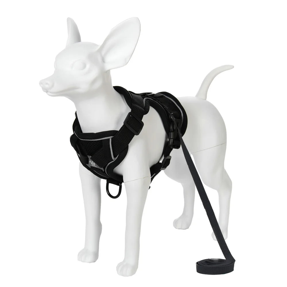Adjustable Dog Harness Leash Set