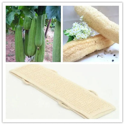Loofah Back Scrubber – Natural Bath Shower Body Brush