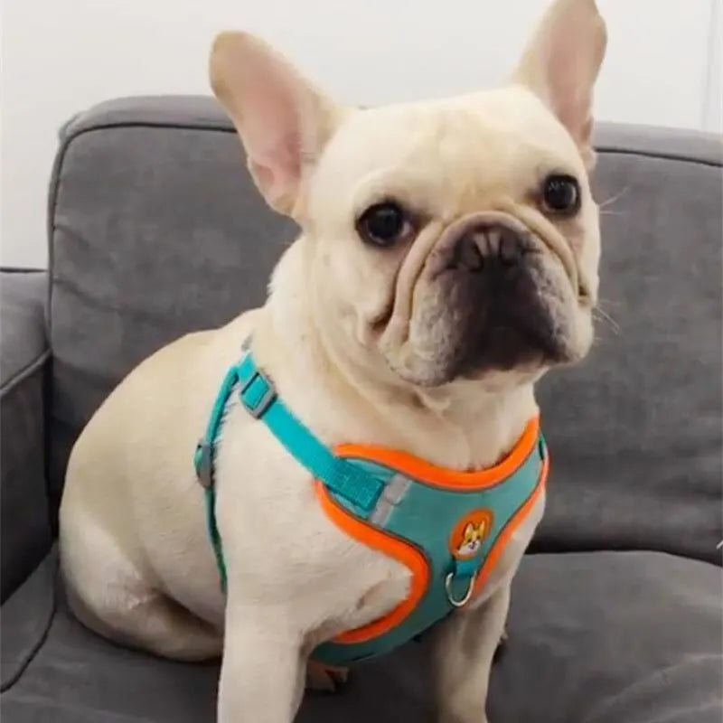 No Pull Dog Harness with Leash
