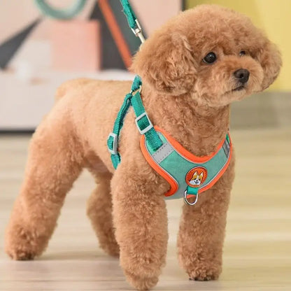 No Pull Dog Harness with Leash