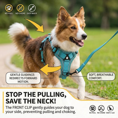 Adjustable Dog Harness Leash Set