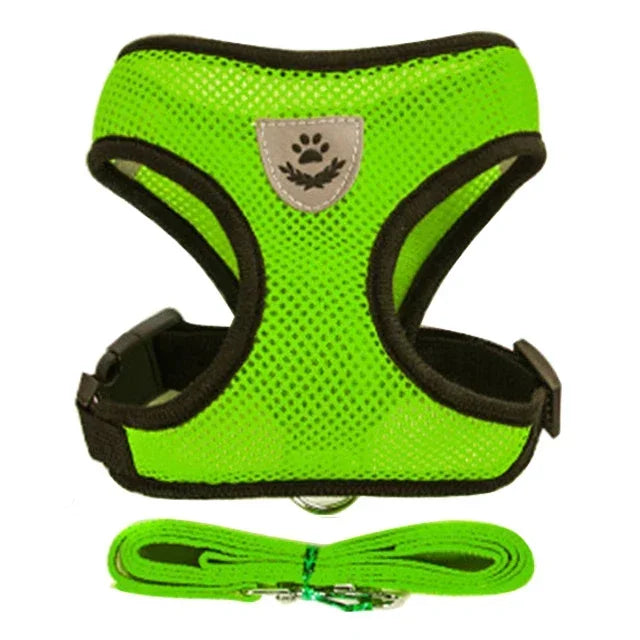 Adjustable Pet Harness with Leash