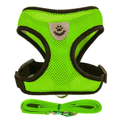 Adjustable Pet Harness with Leash