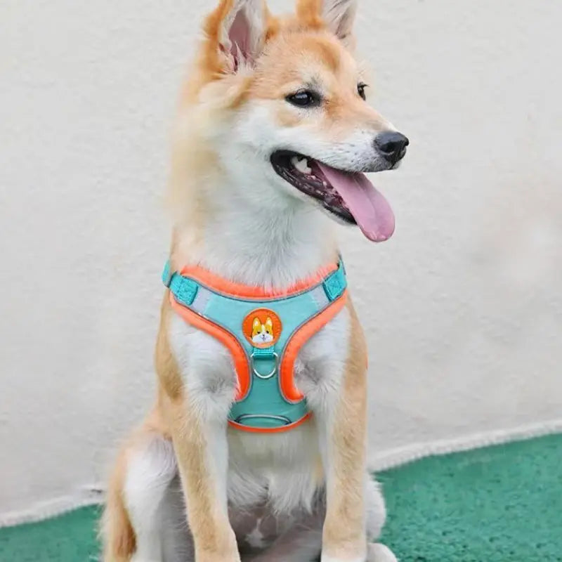No Pull Dog Harness with Leash