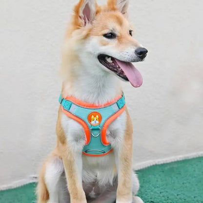 No Pull Dog Harness with Leash
