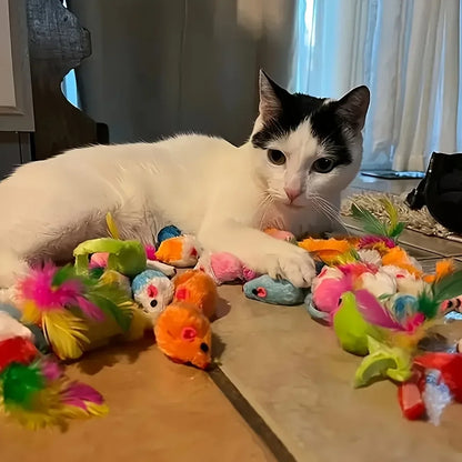 Cat Toy Variety Pack – Plush & Plastic Toys for Multiple Cats