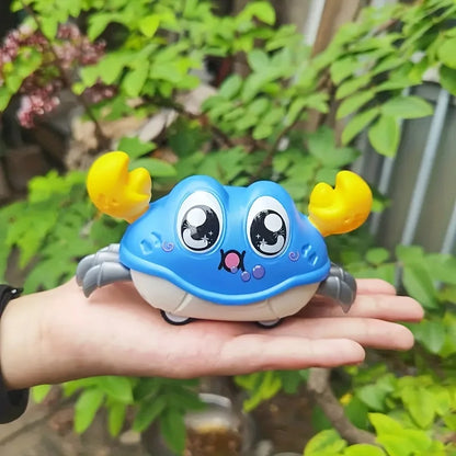 Reversible Crab Toy