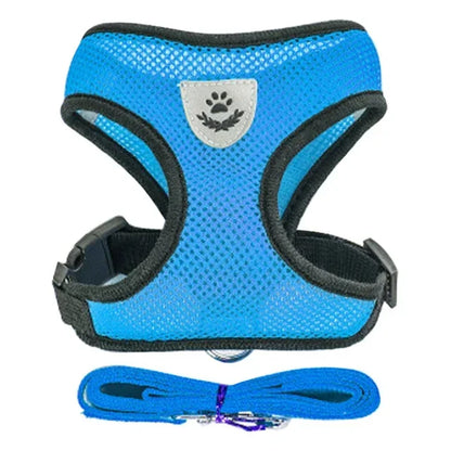 Adjustable Pet Harness with Leash